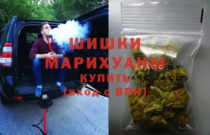 Бошки Шишки THC 21%  Гай 